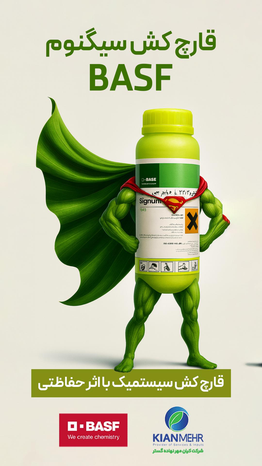 قارچ کش سیگنوم basf