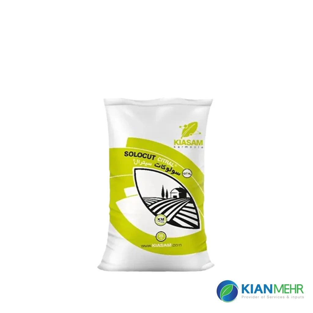 سولوکات پلاس سیترال کیاسم