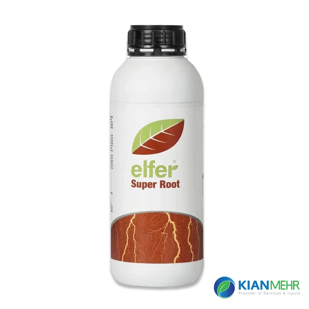 سوپرروت گیاه